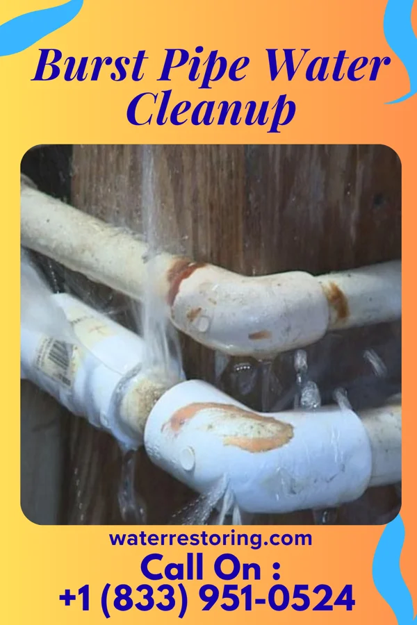 Burst Pipe Water Cleanup in Trenton, MI