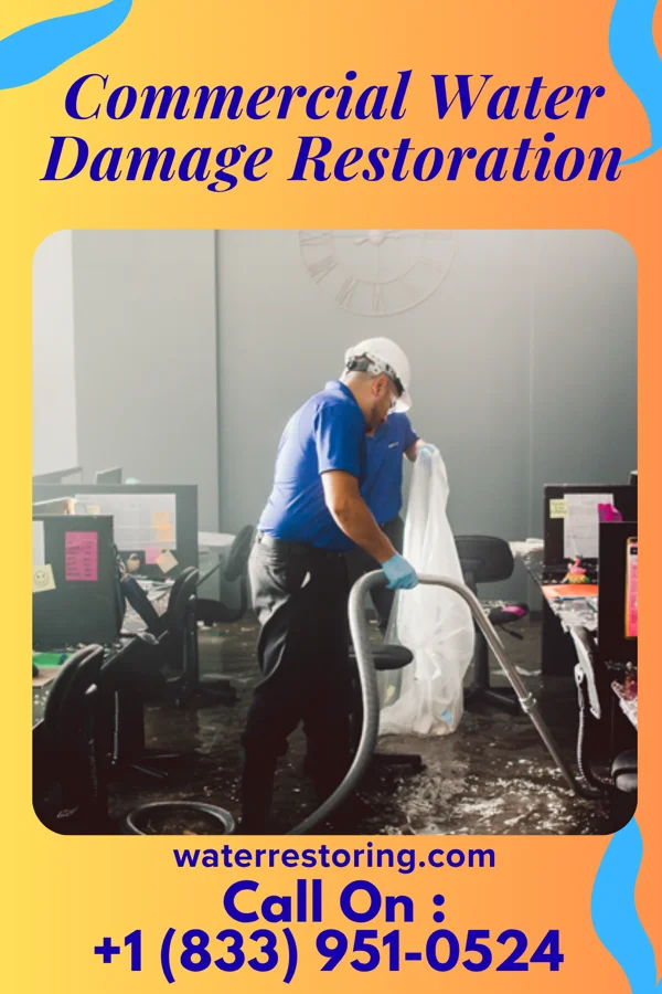 Commercial Water Damage Restoration in Trenton, MI
