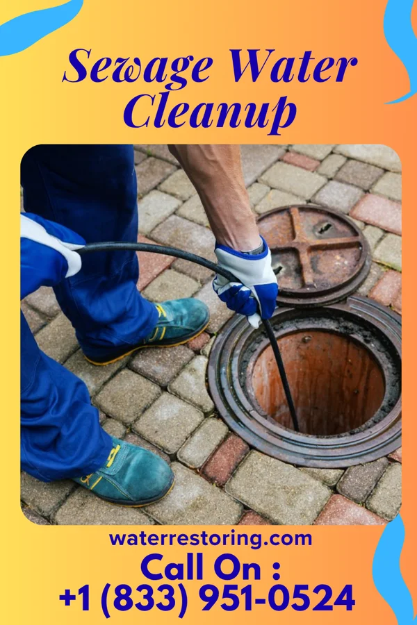 Sewage Water Cleanup in Trenton, MI