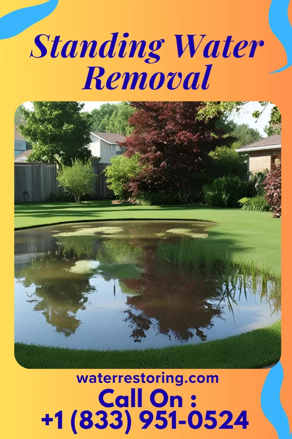 Standing Water Removal in Trenton, MI
